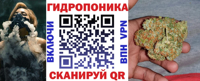 это наркотические препараты  Заволжск  Бошки марихуана индика 